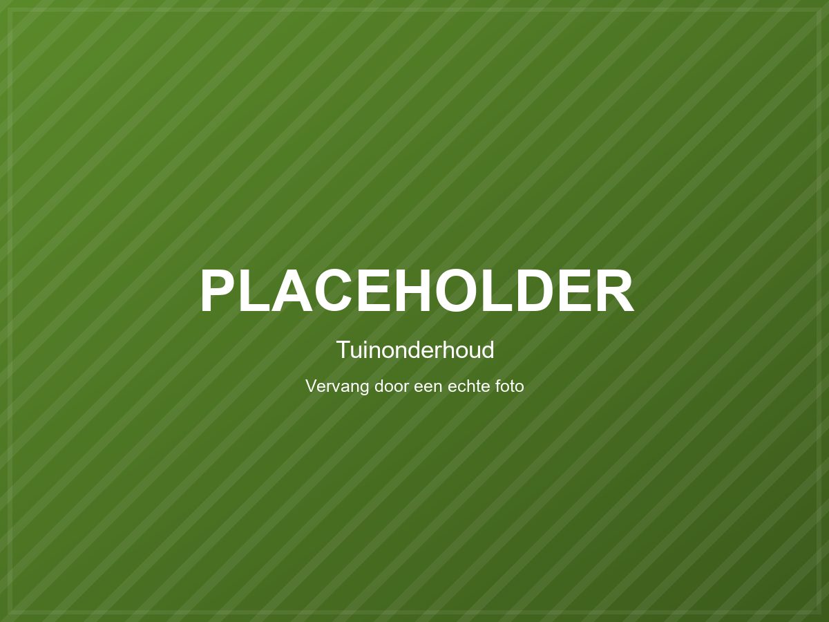 Uitgevoerd werk door IbiFix
